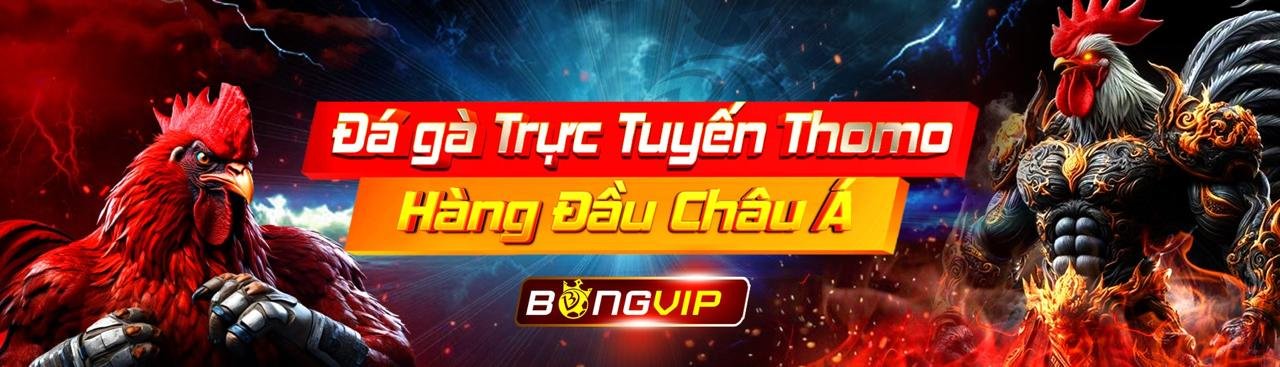 Banner khuyến mãi BONGVIP